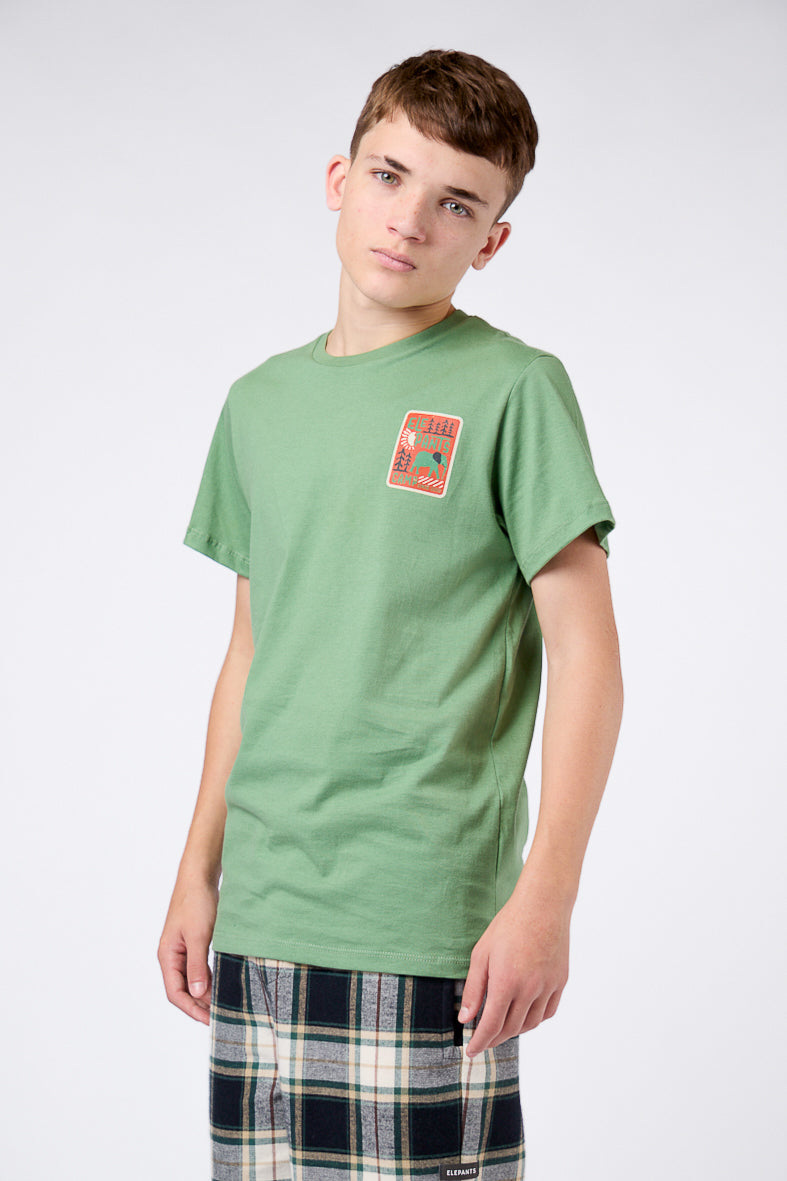 POLERA CAMPS TEENS VERDE