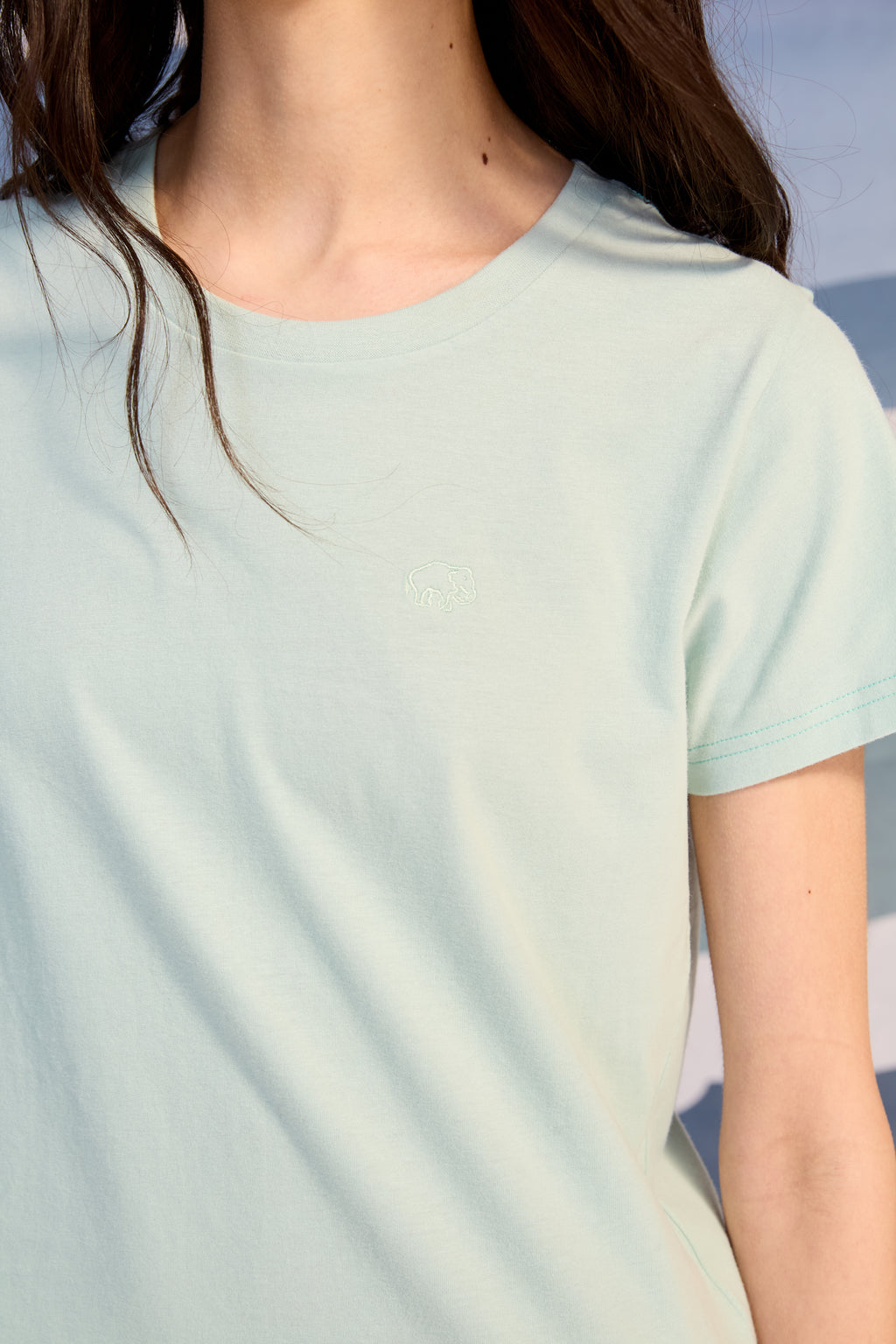 Remera Sra Smith Verde Claro