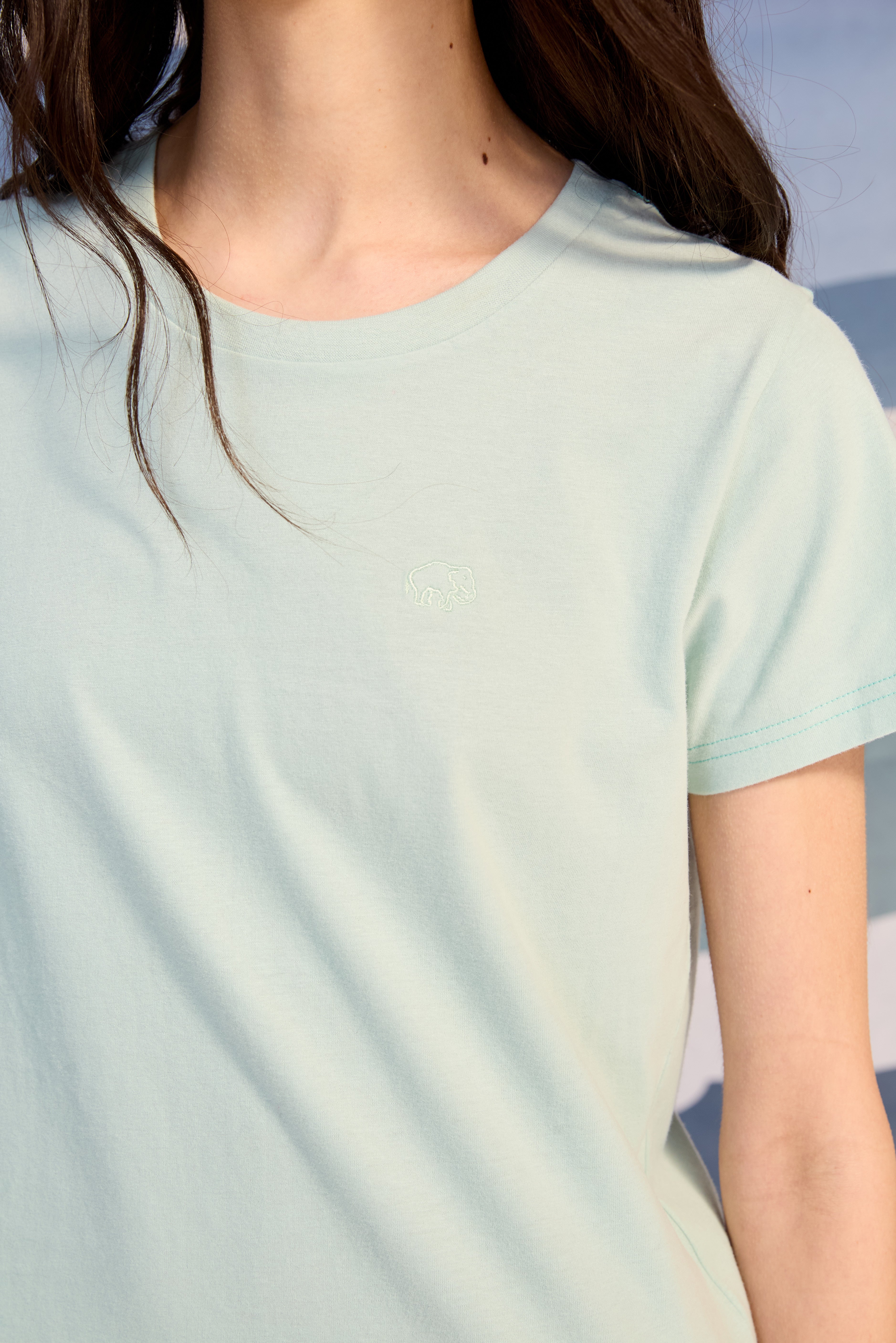 Remera Sra Smith Verde Claro