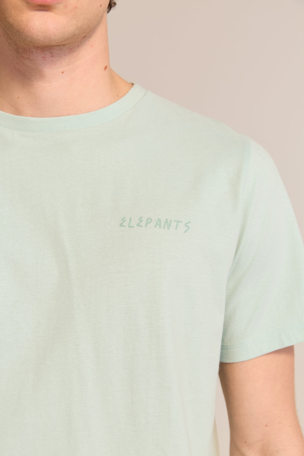 Remera Aguas Patagónicas Verde Claro