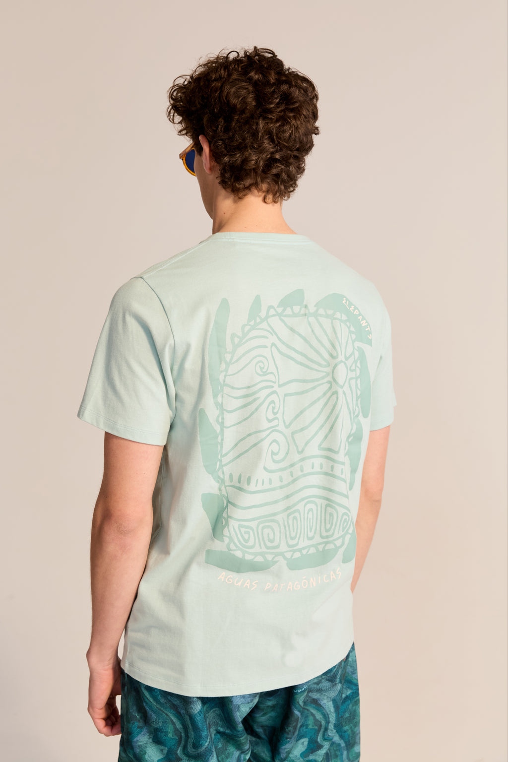 Remera Aguas Patagónicas Verde Claro