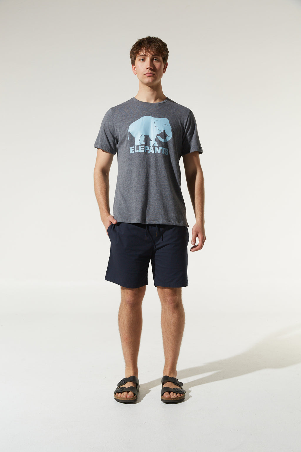 BERMUDA CUERVO MARINO