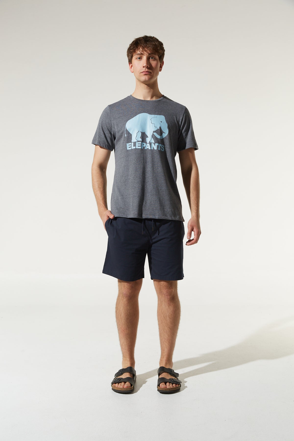 BERMUDA CUERVO MARINO