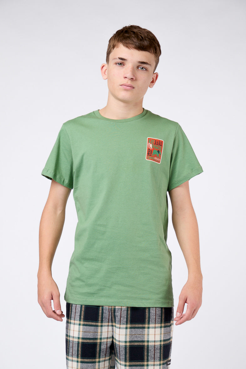 POLERA CAMPS TEENS VERDE